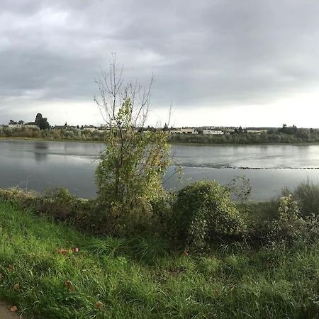 Апартаменты Nid Douillet Bord De Loire Блуа Экстерьер фото
